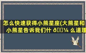 怎么快速获得小熊星座(大熊星和小熊星告诉我们什 🐼 么道理)